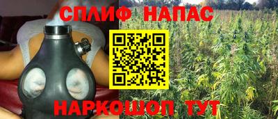 молекула духа Пугачёв