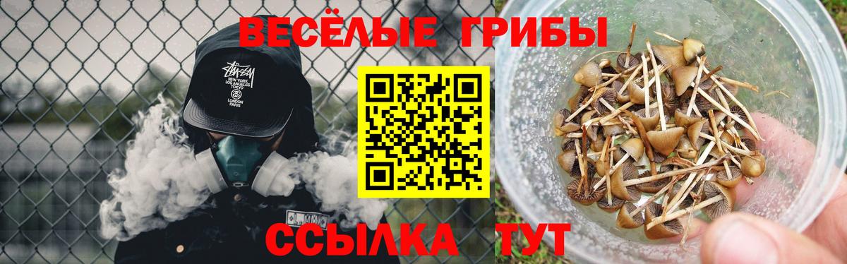 Сергиев Посад  Меф  Канабис  Меф МЯУ МЯУ кристаллы  Вход с VPN  ГАШ 